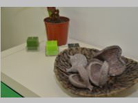 Neuer Standort Naildesign Creative, 30.03.2013