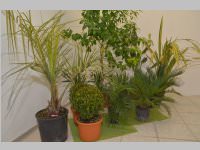 Neuer Standort Naildesign Creative, 30.03.2013