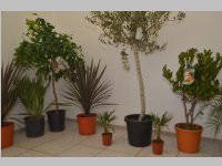 Neuer Standort Naildesign Creative, 30.03.2013