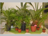 Neuer Standort Naildesign Creative, 30.03.2013