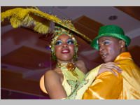 15. Stadtball in Neufeld, 11.01.2014