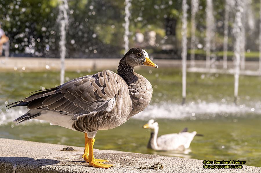 Frankfurt am Main, September 2022