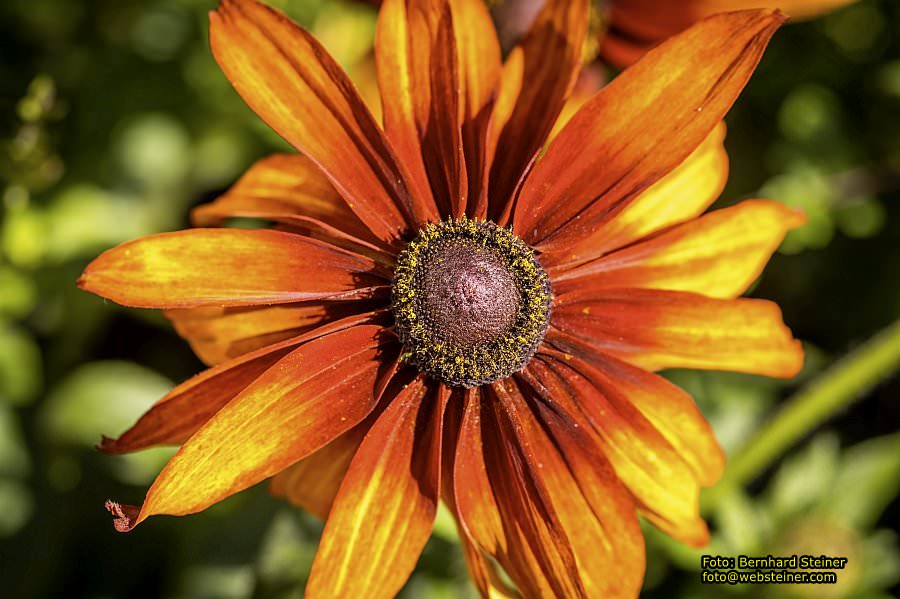 Frankfurt am Main, September 2022