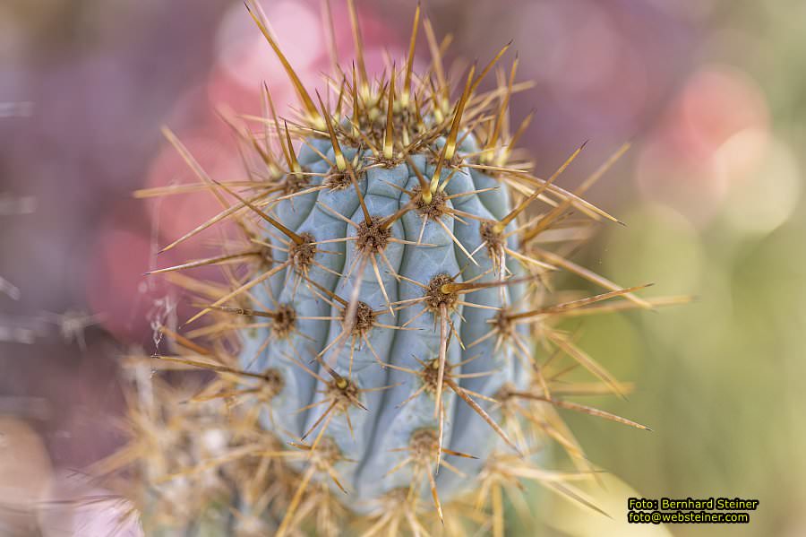 Frankfurt am Main, September 2022