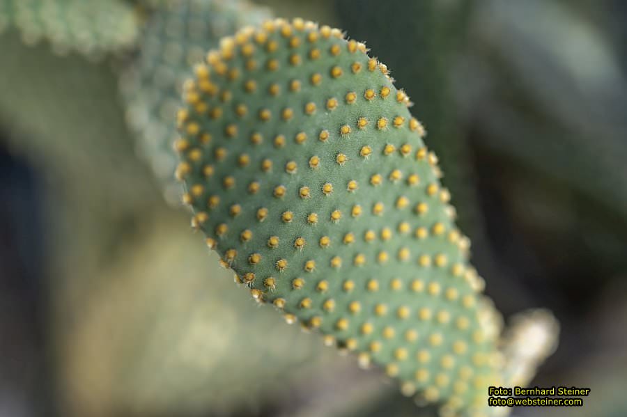 Frankfurt am Main, September 2022