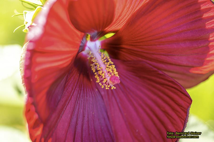 Frankfurt am Main, September 2022