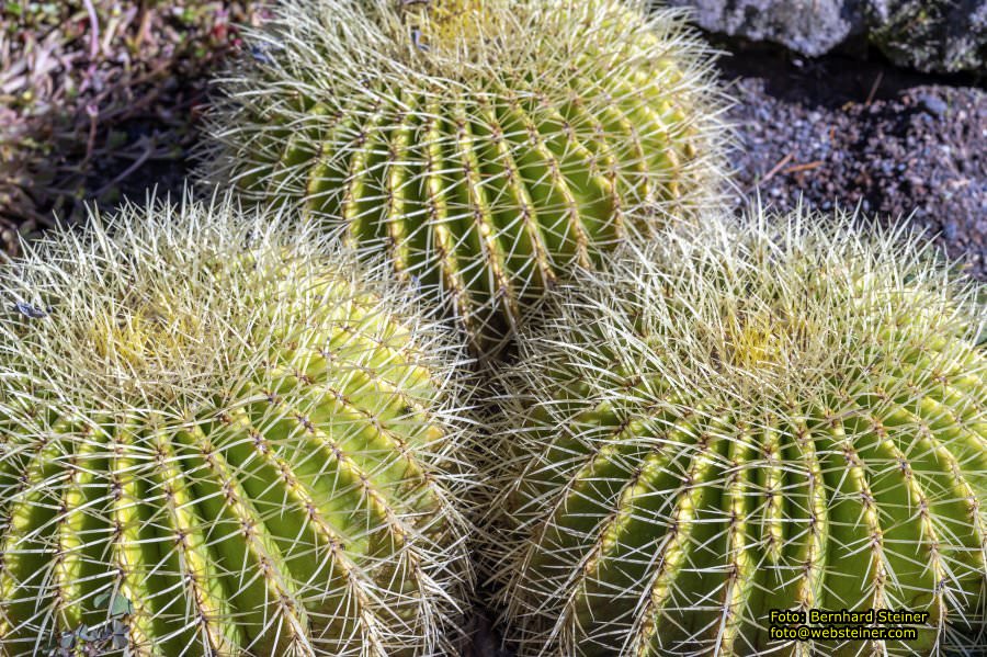 Frankfurt am Main, September 2022