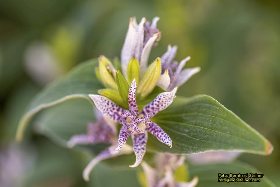 Frankfurt am Main, September 2022