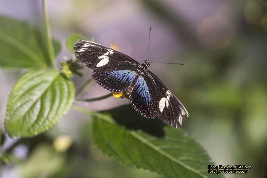 Frankfurt am Main, September 2022