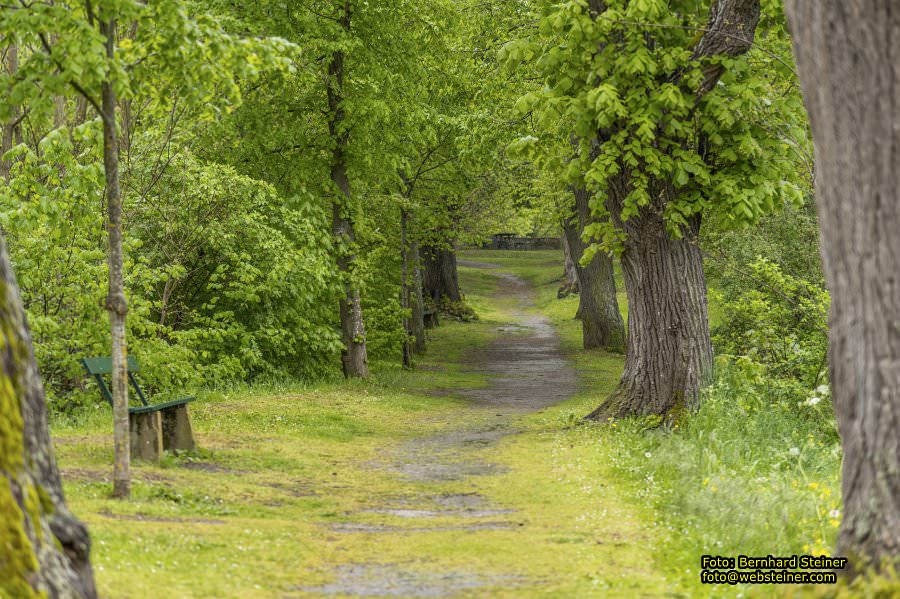 Drosendorf, Mai 2023