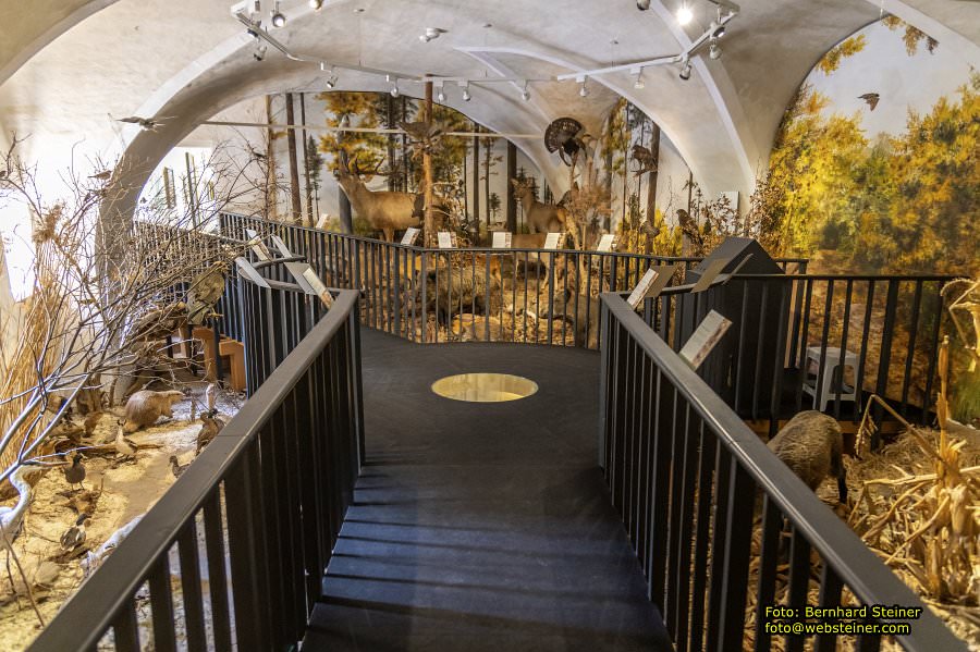 Lackenbach, August 2023