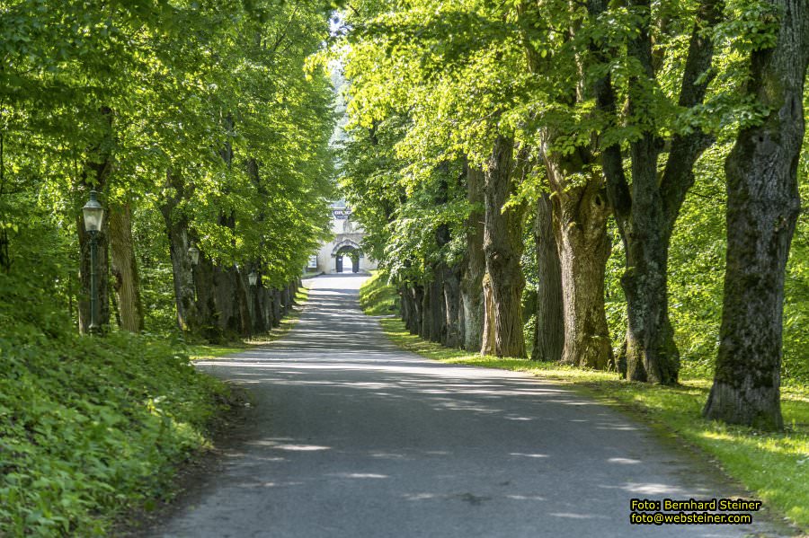 Burg Lockenhaus, Mai 2023