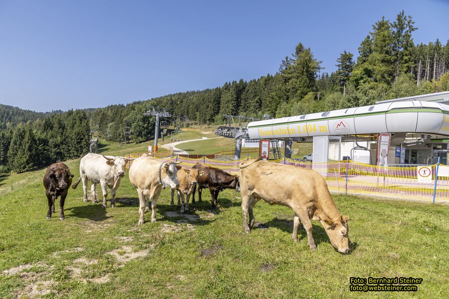 Erlebnisalm Sessellift Sonnenbahn, M�nichkirchen, September 2023