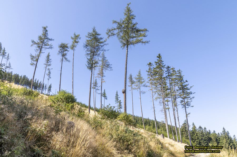 Erlebnisalm Sessellift Sonnenbahn, M�nichkirchen, September 2023