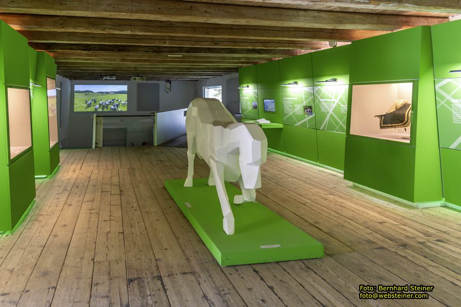 Lipizzanergestüt Piber bei Köflach, September 2023