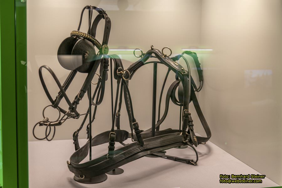 Lipizzanergestüt Piber bei Köflach, September 2023