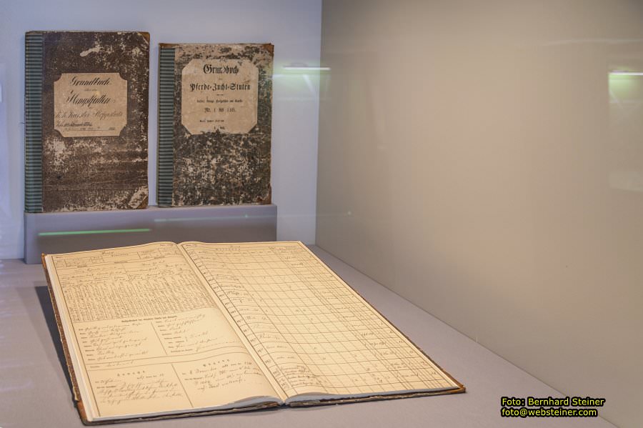 Lipizzanergestüt Piber bei Köflach, September 2023