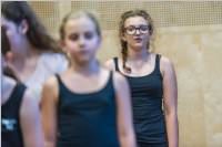 BGZ Wr. Neustadt: Theatergruppe in 'Lieder & Balladen', 21.06.2017