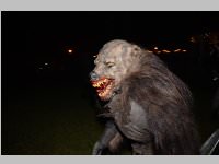 Ebenfurther Adventmarkt, 01.12.2013