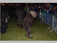 Ebenfurther Adventmarkt, 01.12.2013