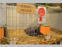 Kleintierschau in Ebenfurth, 26.10.2013