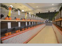 Kleintierschau in Ebenfurth, 26.10.2013