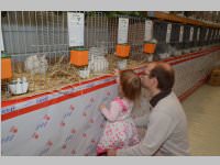 Kleintierschau in Ebenfurth, 26.10.2013