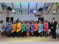 8. VP-Ball in Hornstein, 01.02.2014
