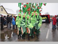 lw_fasching13_245.jpg