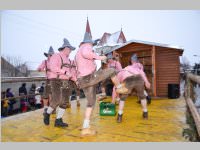 lw_fasching13_438.jpg