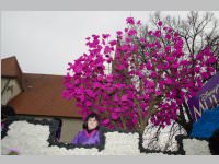 151. Lichtenw�rther Faschingsumzug, 02.03.2014