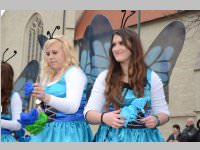 151. Lichtenw�rther Faschingsumzug, 02.03.2014