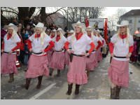 151. Lichtenw�rther Faschingsumzug, 02.03.2014