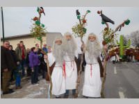 151. Lichtenw�rther Faschingsumzug, 02.03.2014