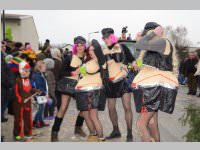 151. Lichtenw�rther Faschingsumzug, 02.03.2014