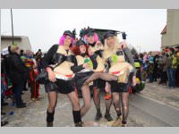 151. Lichtenw�rther Faschingsumzug, 02.03.2014