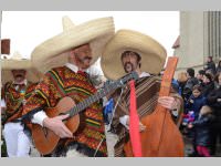 151. Lichtenw�rther Faschingsumzug, 02.03.2014