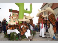 151. Lichtenw�rther Faschingsumzug, 02.03.2014