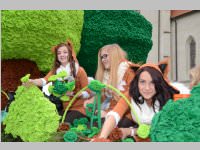 151. Lichtenw�rther Faschingsumzug, 02.03.2014