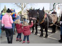 152. Lichtenw�rther Faschingsumzug, 15.02.2015