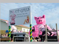 152. Lichtenw�rther Faschingsumzug, 15.02.2015