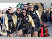 152. Lichtenw�rther Faschingsumzug, 15.02.2015