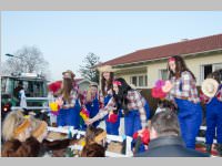 152. Lichtenw�rther Faschingsumzug, 15.02.2015