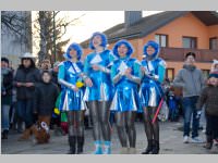152. Lichtenw�rther Faschingsumzug, 15.02.2015