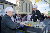 153. Lichtenw�rther Faschingsumzug, 07.02.2016