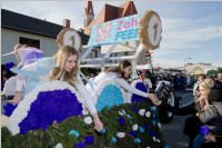 153. Lichtenw�rther Faschingsumzug, 07.02.2016