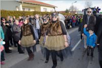 153. Lichtenw�rther Faschingsumzug, 07.02.2016