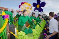 153. Lichtenw�rther Faschingsumzug, 07.02.2016