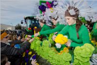 153. Lichtenw�rther Faschingsumzug, 07.02.2016