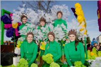 153. Lichtenw�rther Faschingsumzug, 07.02.2016